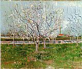 Chinese Plum Blossom Paintings - Orchard in Blossom by Vincent van Gogh